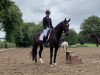 dressage horse Mary Lou 252 (Mecklenburg, 2015, from E.H. Millennium)