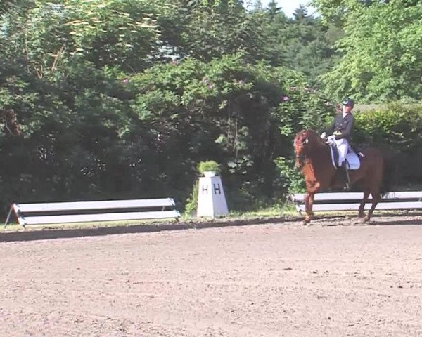 Reitturnier Hanerau-Hademarschen 2016