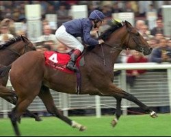 Deckhengst King Of Kings xx (Englisches Vollblut, 1995, von Sadler's Wells xx)