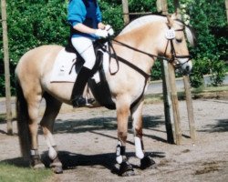 Pferd Brit-Romanowa (Fjordpferd, 1991, von Rei Romanow)