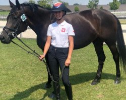 jumper Rosa (German Riding Pony, 2011, from Calico 8)