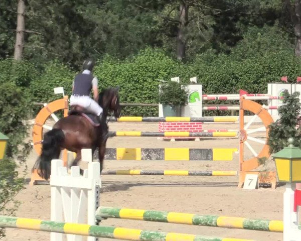 Reitturnier Erkrath - Uhlenhof 2016