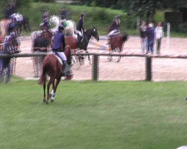 Ponyturnier Billerbeck 2016