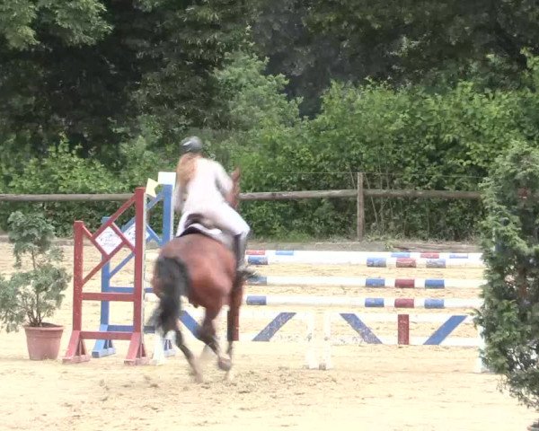 Reitturnier Erkrath - Uhlenhof 2016