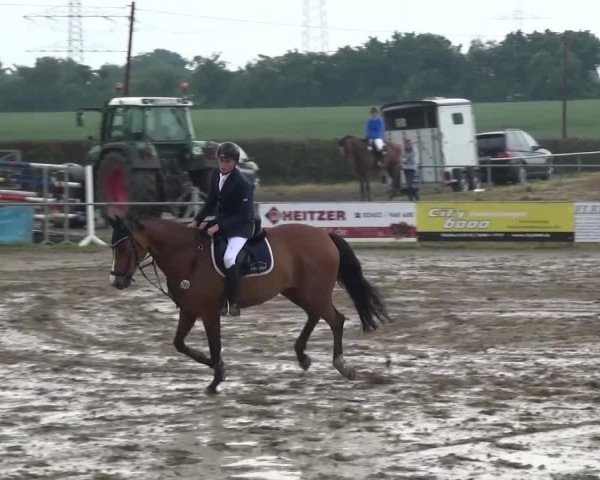 Heinsberger Dressur- und Springtage 2016