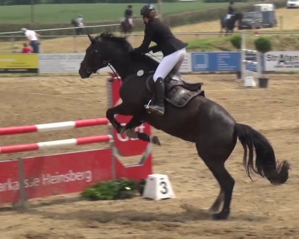 Heinsberger Dressur- und Springtage 2016