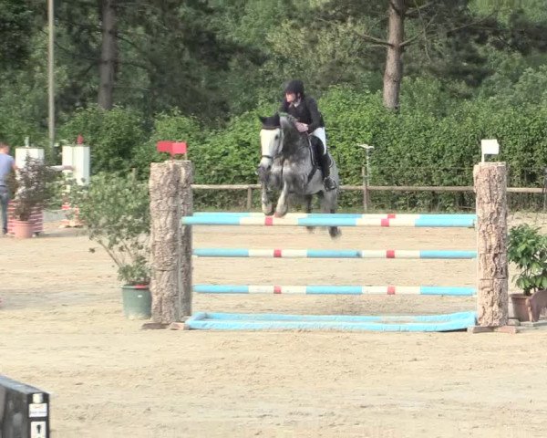 Reitturnier Erkrath - Uhlenhof 2016