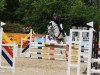 dressage horse Knockillaree Eabha (Connemara Pony, 2012, from Aughnanure Leo)