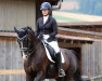 dressage horse Ray of Hope 6 (Hanoverian, 2008, from Rotspon)