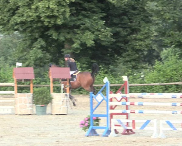 Reitturnier Erkrath - Uhlenhof 2016