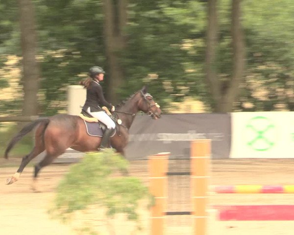Reitturnier Erkrath - Uhlenhof 2016