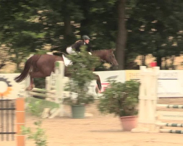Reitturnier Erkrath - Uhlenhof 2016