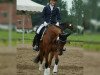 dressage horse Donnerblitz 20 (German Riding Pony, 2006, from Diamond Boy)