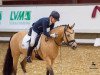 dressage horse Ballerina (German Riding Pony, 2012, from Blue Angel 8)