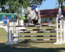 broodmare Mona Lisa (German Sport Horse, 2009, from Monte Bellini)