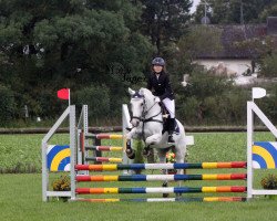 dressage horse Powergirl (German Riding Pony, 2002, from Postrat)