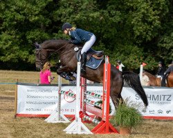 jumper Georgina W 3 (Holsteiner, 2014, from Connor 48)