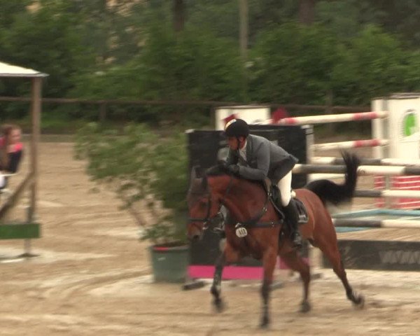 Reitturnier Erkrath - Uhlenhof 2016