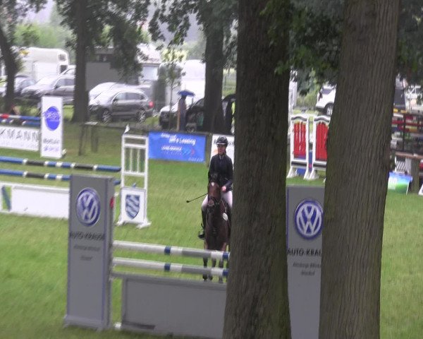 Ponyturnier Billerbeck 2016