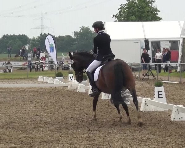 Heinsberger Dressur- und Springtage 2016