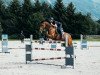 jumper Shyra Loretta (German Sport Horse, 2007, from Cassineto)