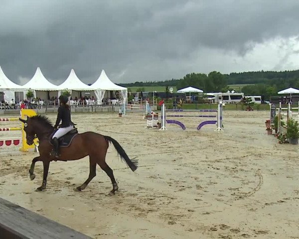 Reitturnier Detter 2016