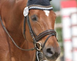 dressage horse Fabrice 60 (Rhinelander, 2009, from Fürst Piccolo)