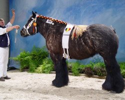 horse Jessica van 't Zwaanhof (Brabant/Belgian draft horse, 1998, from Udo v.d. Houwenberg)