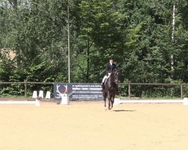 Reitturnier Erkrath - Uhlenhof 2016