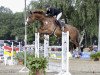 jumper Allegra P (Oldenburg, 2011, from Olympic Fire 5)