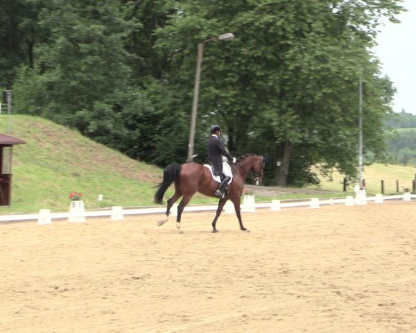 Reitturnier Erkrath - Uhlenhof 2016