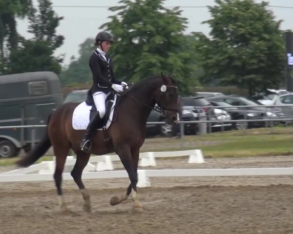 Heinsberger Dressur- und Springtage 2016