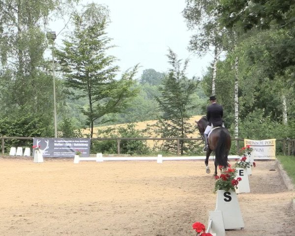Reitturnier Erkrath - Uhlenhof 2016