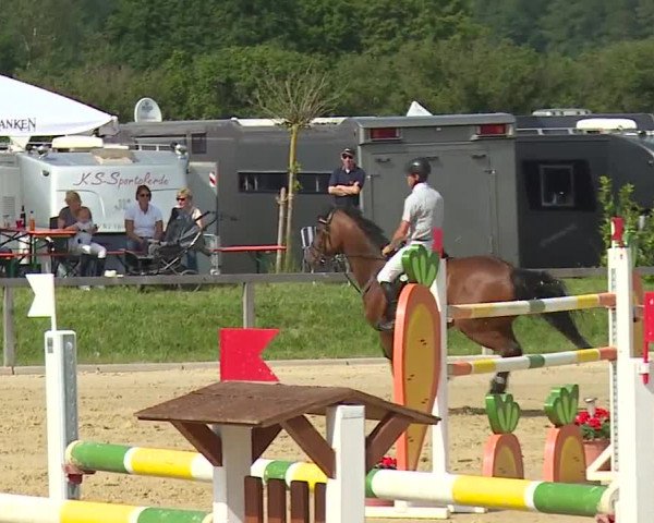 Reitturnier Detter 2016