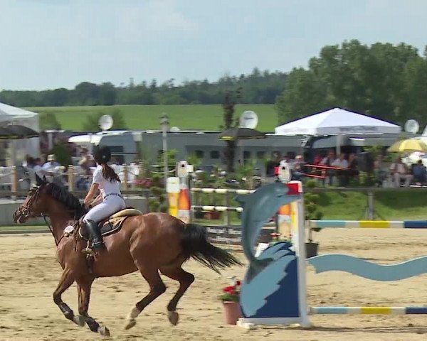 Reitturnier Detter 2016