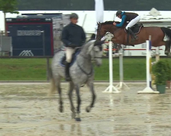 Reitturnier Detter 2016