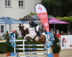 Springpferd Ernie von der Held (Belgisches Warmblut, 2010, von Best Man Z)