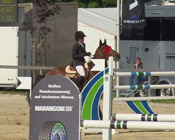 Reitturnier Detter 2016