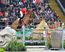 broodmare Venue D'Fees des Hazalles (Belgium Sporthorse, 2005, from President)