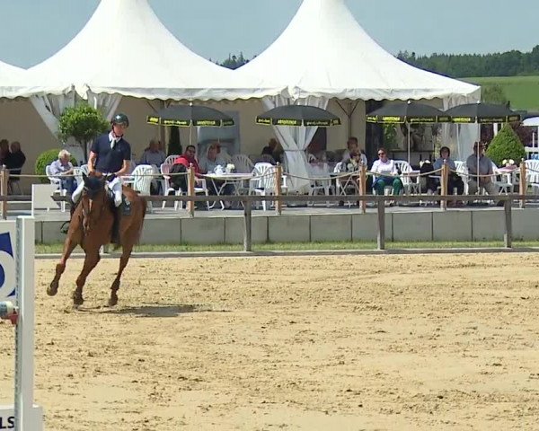 Reitturnier Detter 2016