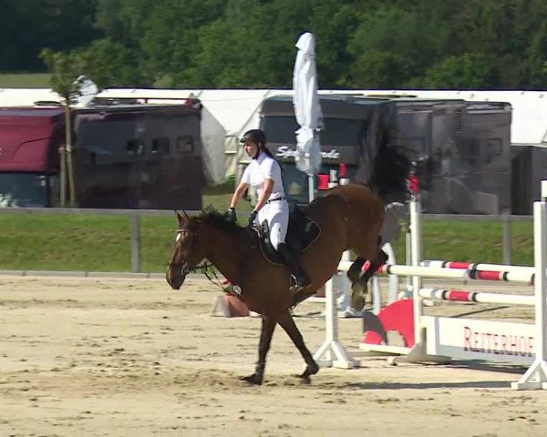 Reitturnier Detter 2016