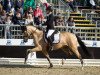 Zuchtstute HBS Golden Mylight NRW (Deutsches Reitpony, 2015, von Golden West NRW)