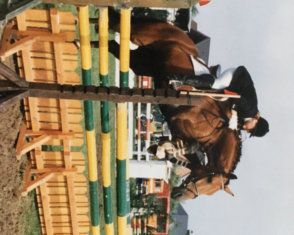 Zuchtstute Uppsala (Holsteiner, 1982, von Cor de la Bryère)