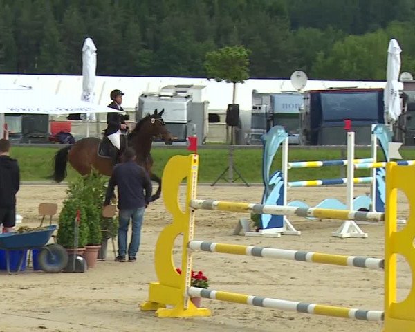 Reitturnier Detter 2016