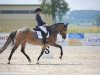 dressage horse Sissi 814 (German Riding Pony, 2006, from Santiago)