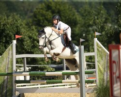 Springpferd Silva Spark H (Deutsches Reitpony, 2008, von Zandheuvel's Sunny Boy)