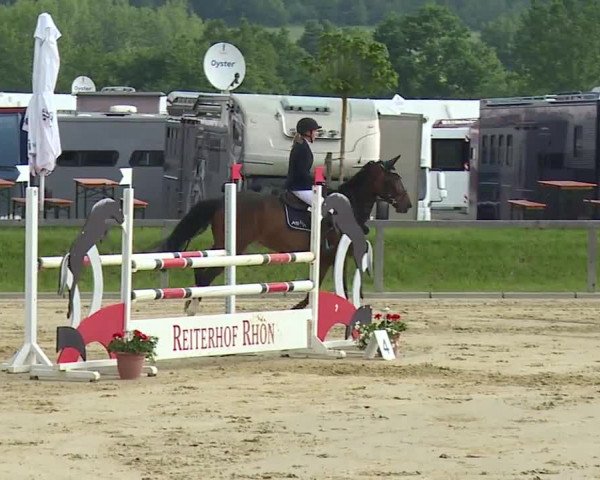 Reitturnier Detter 2016