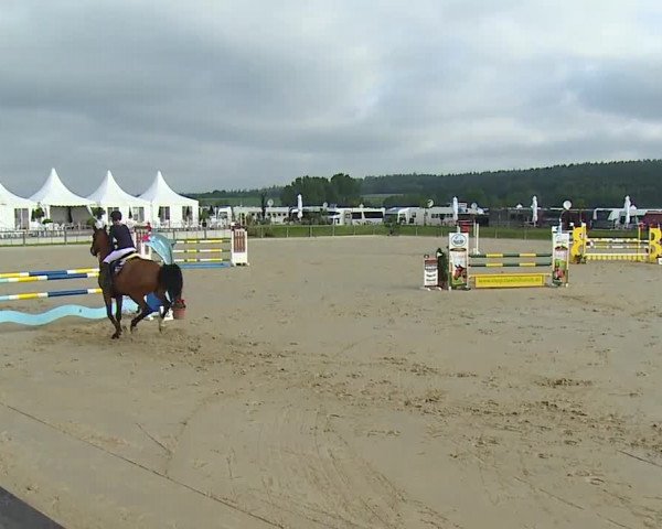 Reitturnier Detter 2016