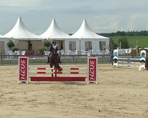 Reitturnier Detter 2016