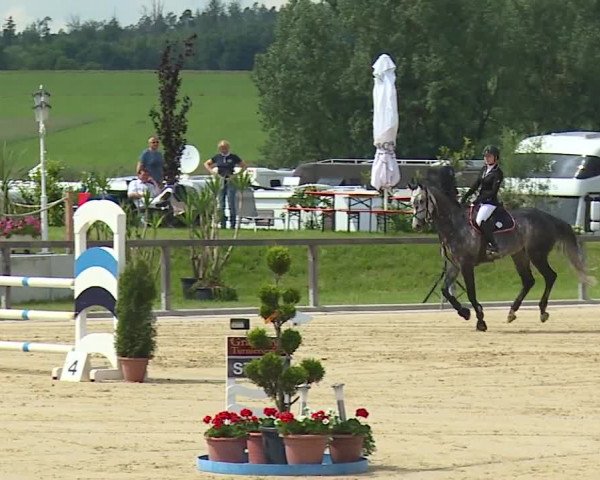 Reitturnier Detter 2016